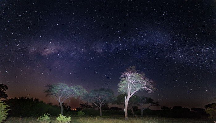 Stunning night landscape at camp in the Okavango Delta, Botswana. Safari pictures