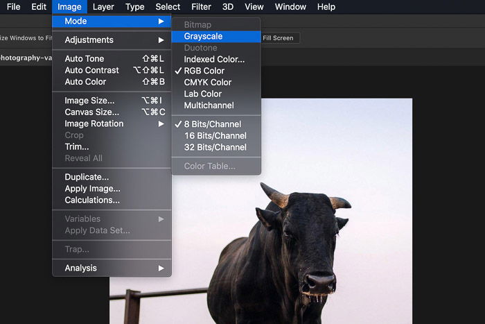 A screenshot of converting an image to Grayscale in Photoshop