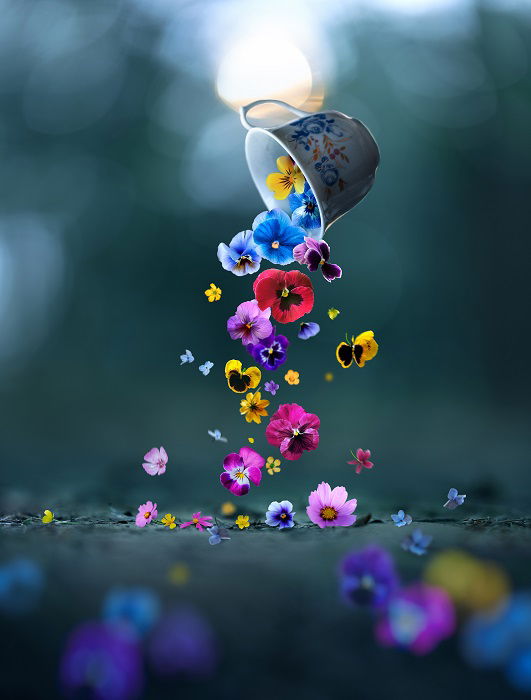 a conceptual still life photo with flowers