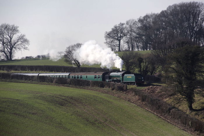 A steam train driving through a luscious green countryside - locomotive photography