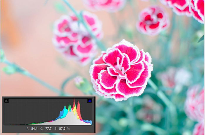 An overexposed pictured of a pink flower