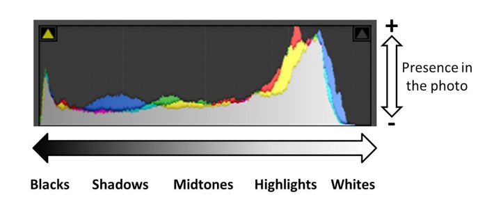 A photo histogram to check the exposure of images