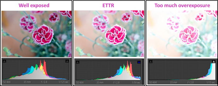 A triptych of bringing down an overexposed pictured of a pink flower - ettr photography