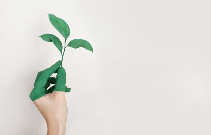 A hand with the fingers painted green, holding a leaf 