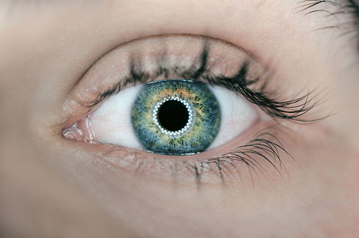 A stunning close up of a persons green eye shot using ring light photography