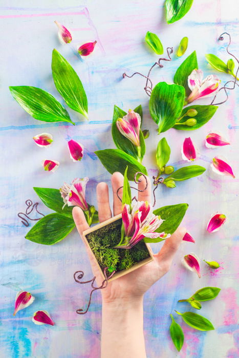 Cute garden themed spring photos featuring a hand holding a pot of flowers as an example for spring photography ideas