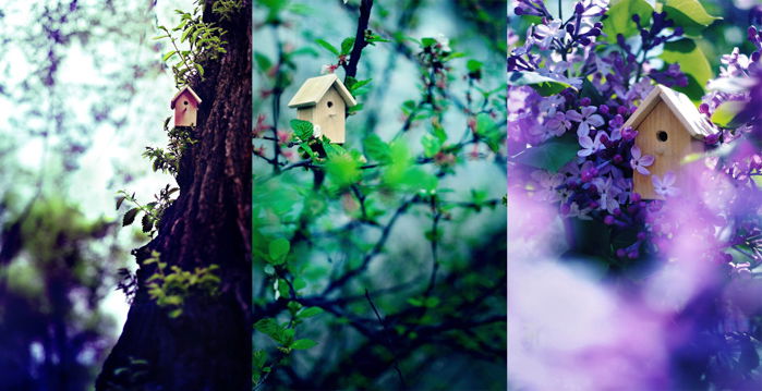 Cute spring photos triptych of a little wooden house in a tree taken from different angles - spring photography ideas