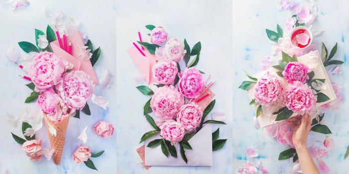 Cool still life triptychs featuring roses and stationary as an example for spring photography ideas