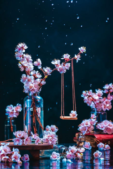 Cool still life featuring cherry blossoms as an example for spring photography ideas