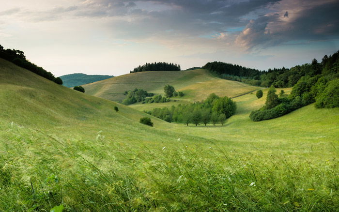 A lush landscape under a cloudy sky - color theory for landscape