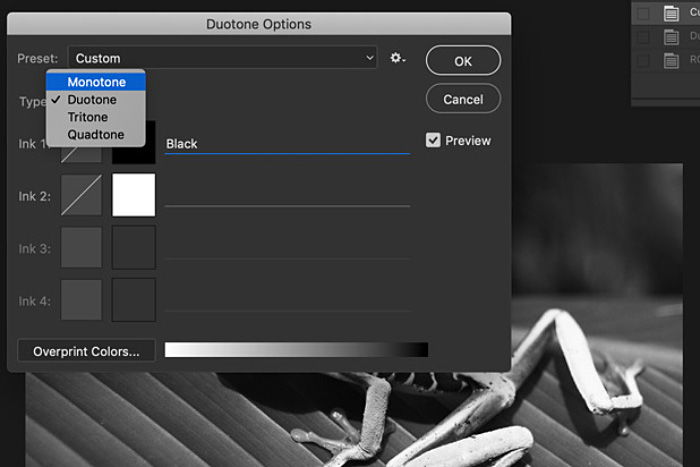 A screenshot of how to convert an image to black and white on Photoshop