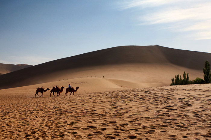 Three camel riders moving across a desert landscape - rule of space in composition 