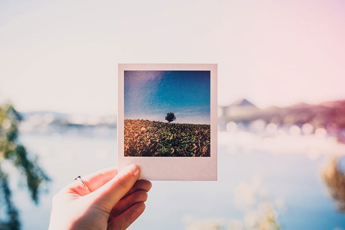 A hand holding an instant photo of a landscape 