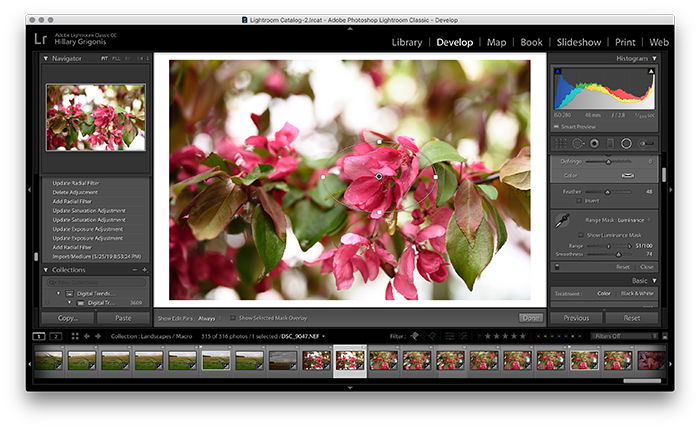 A screenshot showing how to use the Lightroom Radial Filter Tool