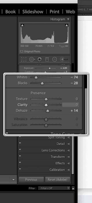 Screenshot of Lightrooms Texture Slider located in the Basic panel