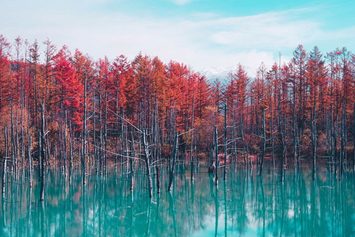 a beautiful landscape of bright colored trees over a lake - stunning landscape photos 