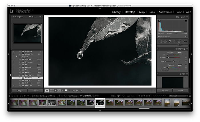 A screenshot showing how to use split toning in Lightroom