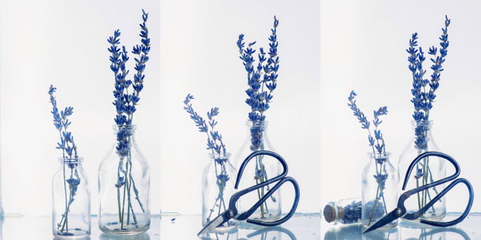 A still life triptych of lavender flowers in vases setup to shoot colorful paint in water photography