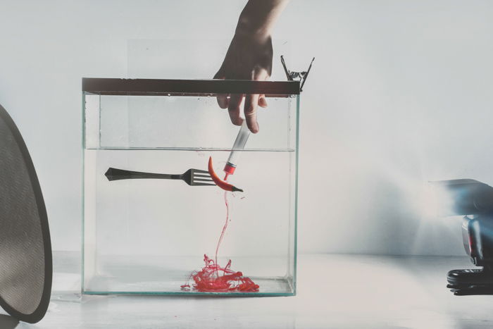 a chilli pepper on a fork in a fishtank - setup to shoot colorful paint in water photography