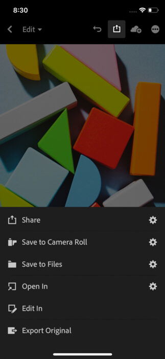 A screenshot showing how to save, share or add photos directly from Lightroom mobile version