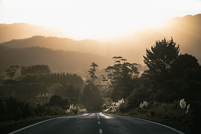 Golden hour in rural New Zealand. beautiful pictures of new zealand