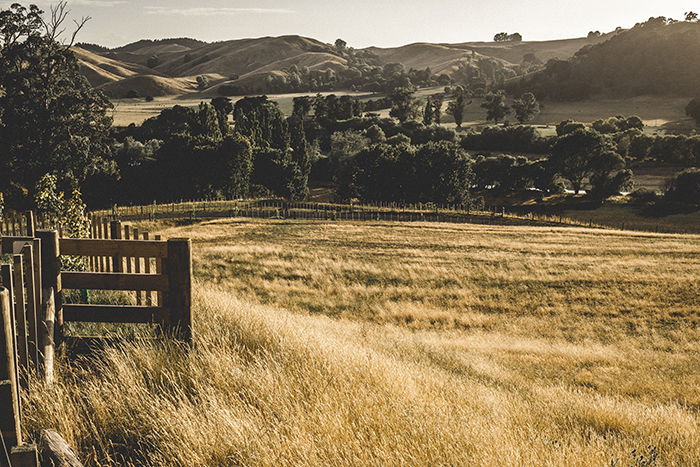 Te Mata Peak, New Zealand landscapes