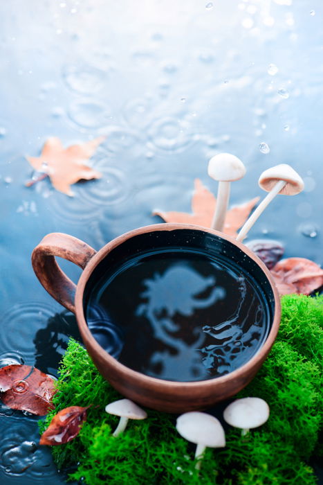 a creative still life featuring a cool reflection in a coffee cup