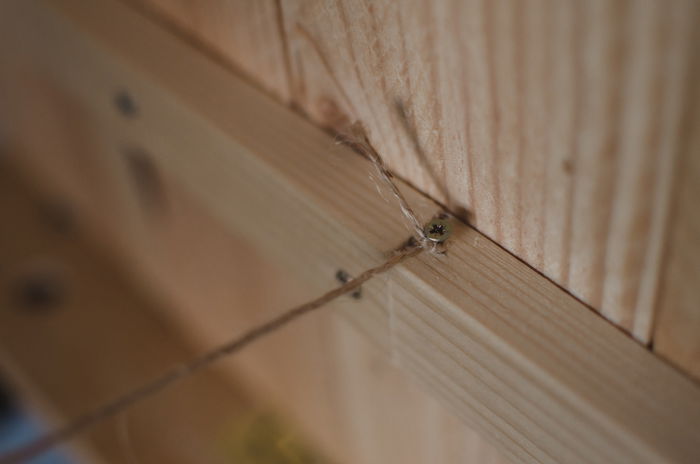 shot of making a DIY wood backdrop for photography