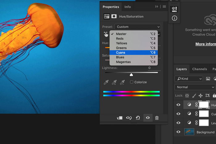 a screenshot showing how to edit underwater images in Photoshop