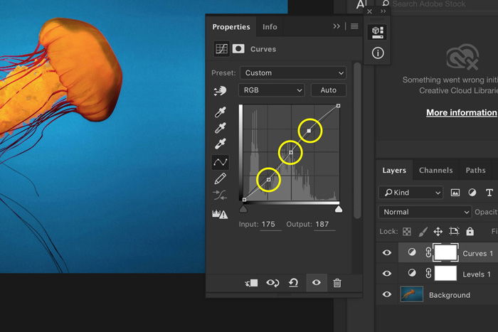 a screenshot showing how to edit underwater images in Photoshop