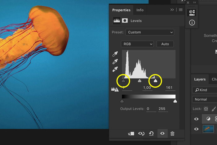 a screenshot showing how to edit underwater images in Photoshop