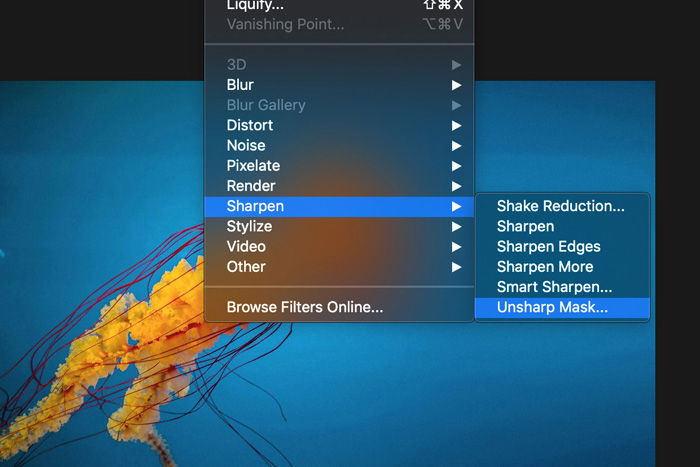 a screenshot showing how to edit underwater images in Photoshop