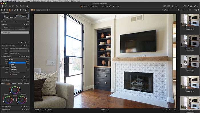 Screenshot of Capture One color tab