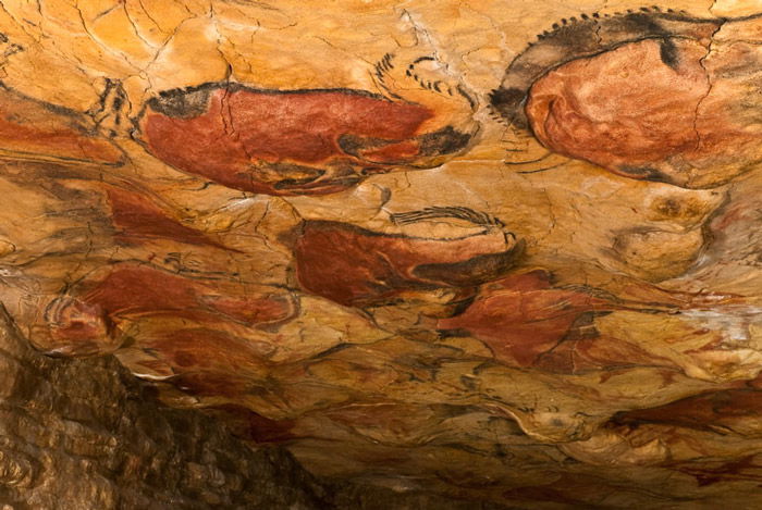 Photo of a cave painting in the Altamira caves depicting bisons