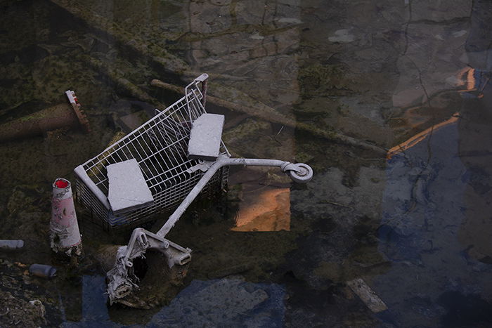 Photo of a trolley thrown away in the dump