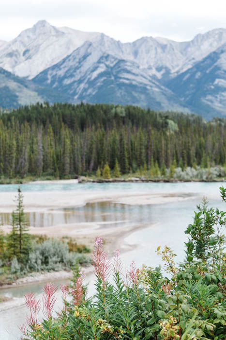 Landscape photo of mountains, forests and a river in the foreground