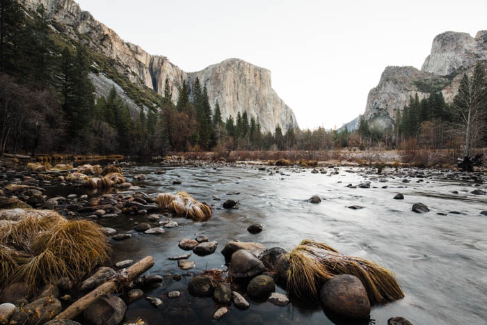 Photo of a riverbank with mountains and a forest in the background