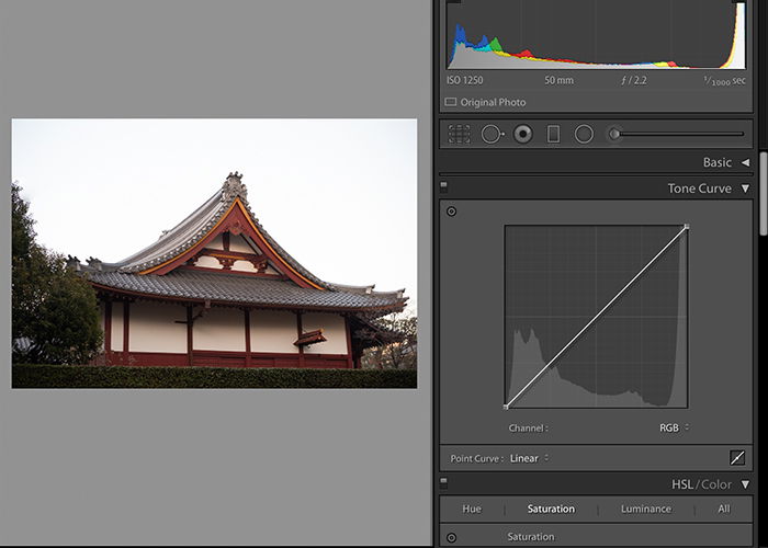 Screenshot of editing a photo in Lightroom matte effect