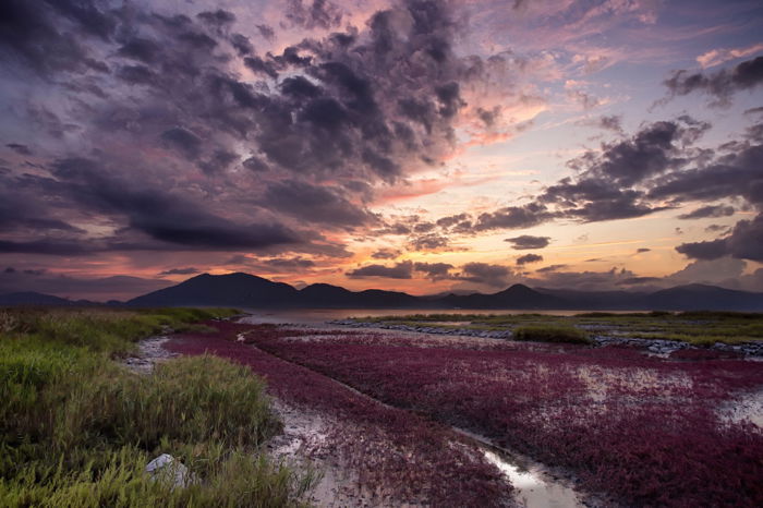 Colorful landscape photo shot at sunset 