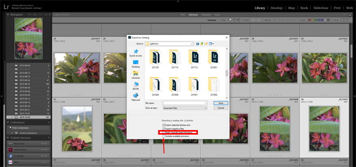 Lightroom screenshot of catalogue