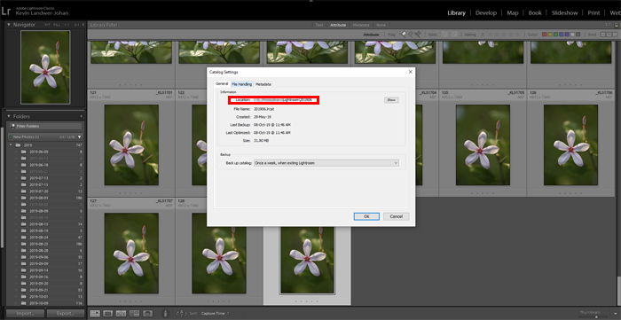 Lightroom screenshot of catalogue