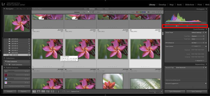 Lightroom screenshot of smart preview