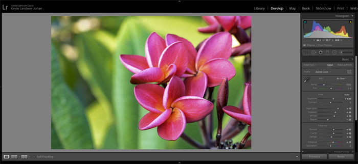 Lightroom screenshot of smart preview