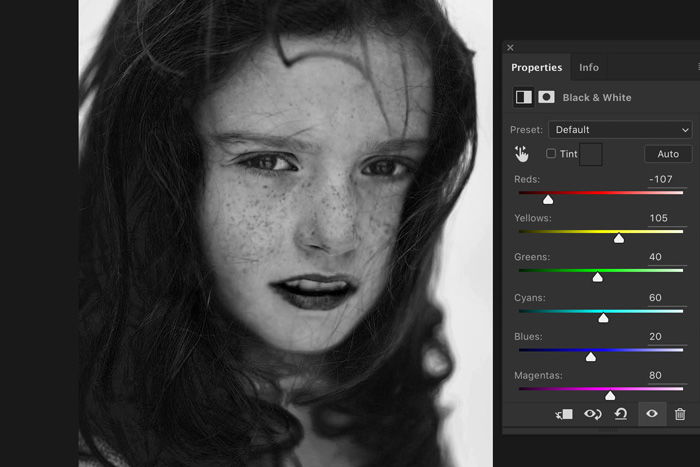 Screenshot of Lightroom color adjustments