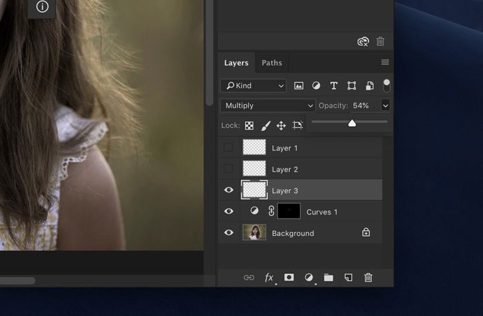 Screenshot of Lightroom layers