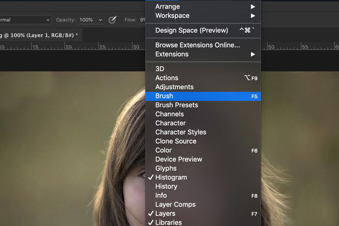 Screenshot of Lightroom brush