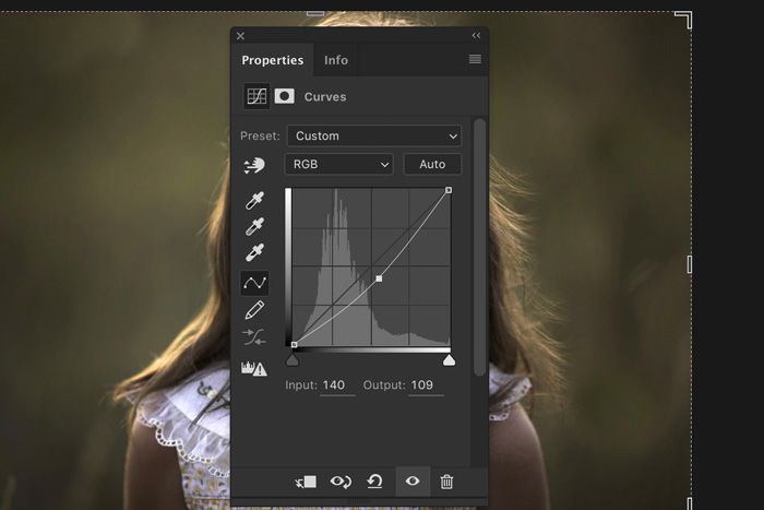 Screenshot of Lightroom properties