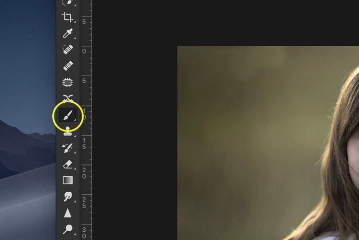 Screenshot of Lightroom paint brush