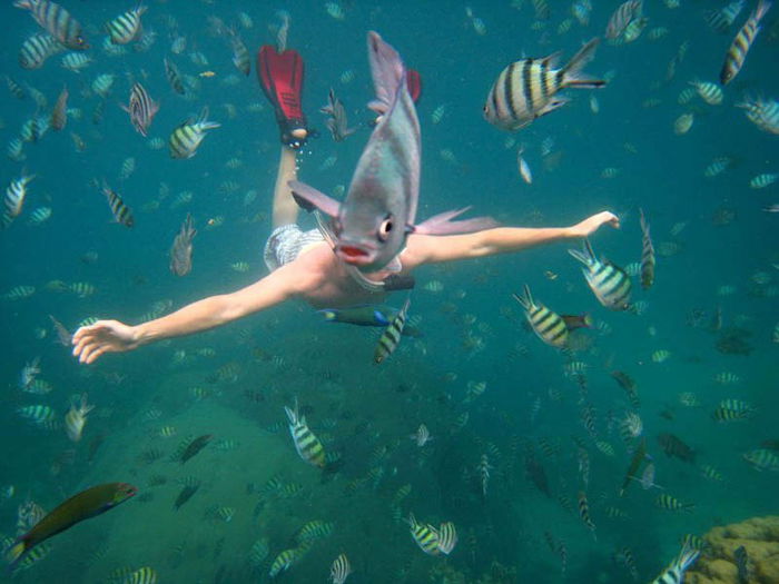 Photo of a diver with a fish swimming in front of his head