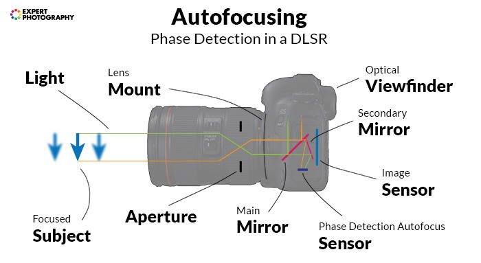 An illustration showing nd labelling all the different parts of a DSLR camera